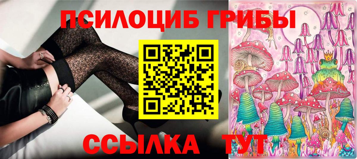 Галлюциногенные грибы Cubensis Мичуринск