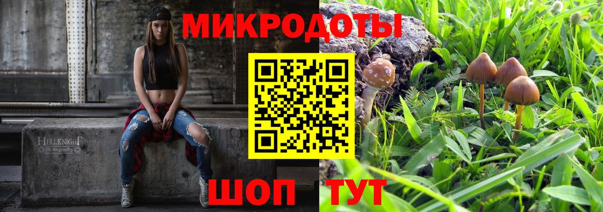 Псилоцибиновые грибы Psilocybe  Галлюциногенные грибы прущие грибы  Мичуринск  Вход с VPN 