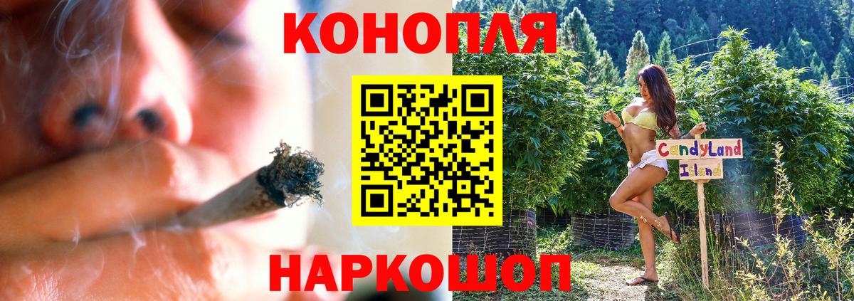 Бошки Шишки индика Мичуринск